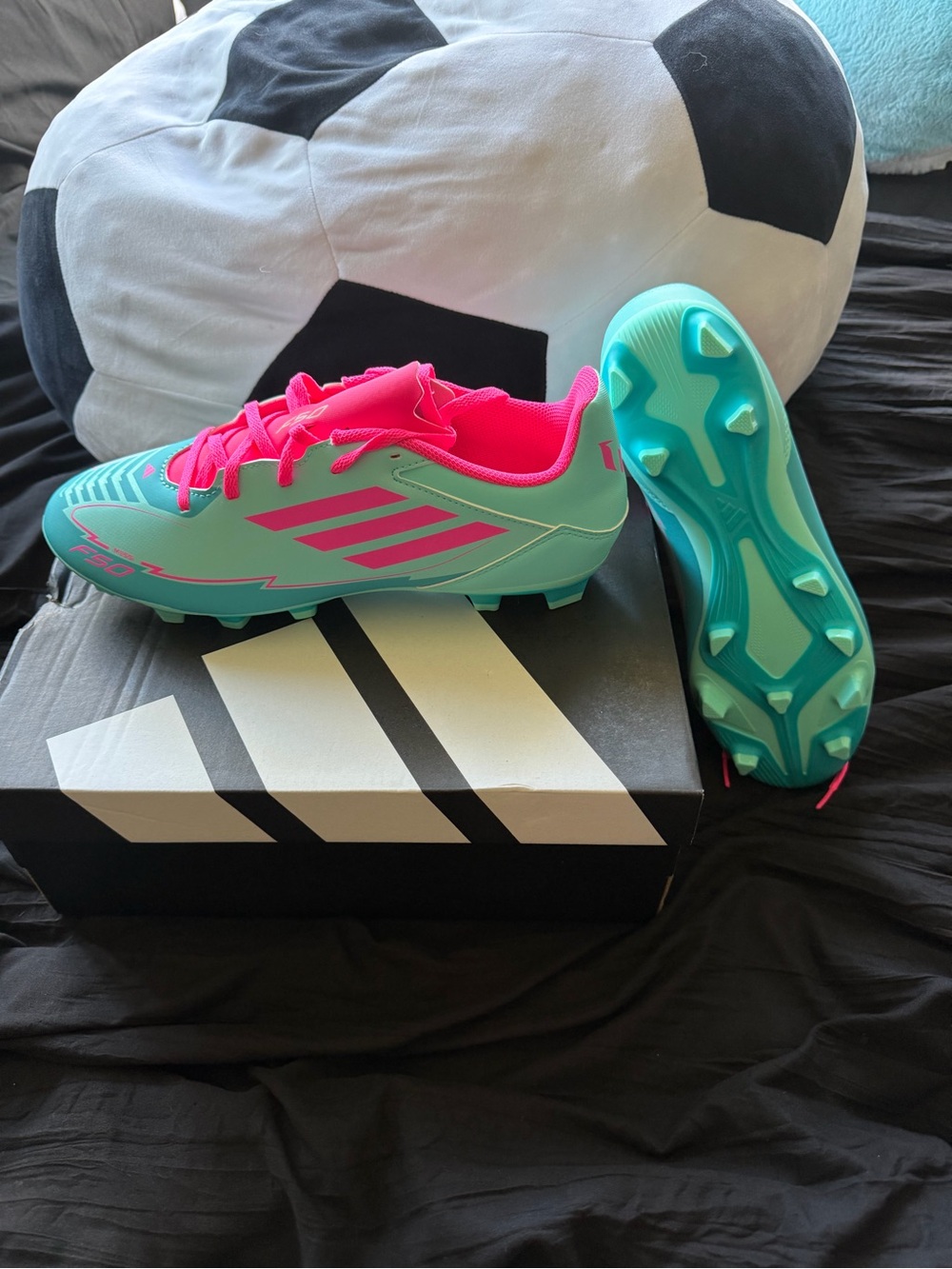Adidas Cleats Messi F50- Teal and Pink